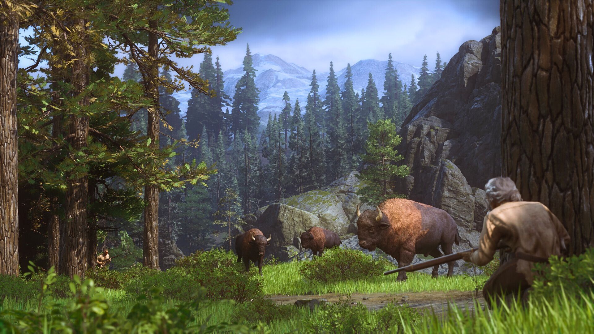 An image from The Legend of California. It shows a player stalking up to two buffalo, gun in hand. They are in a forest area.