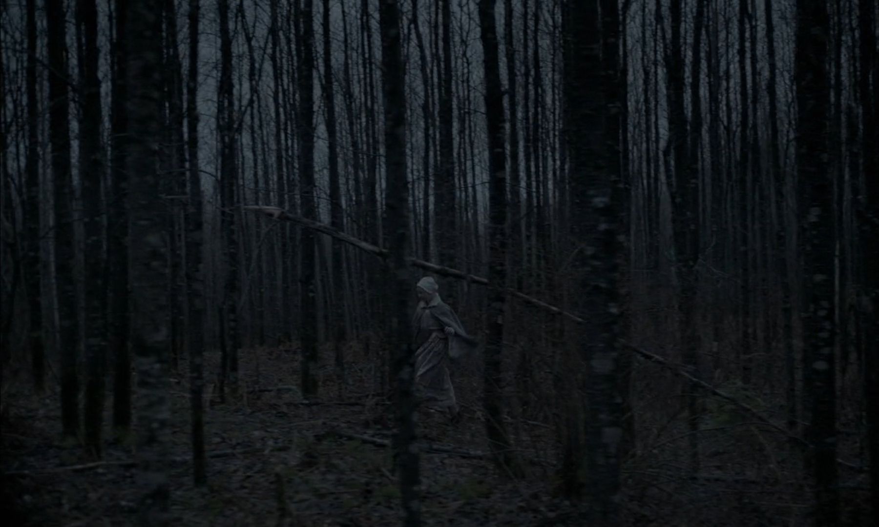 A wide shot of Thomasin (Anya Taylor-Joy) making her way through the dimly lit woods, partially obscured by the many tall, skinny trees, in a scene from The Witch 