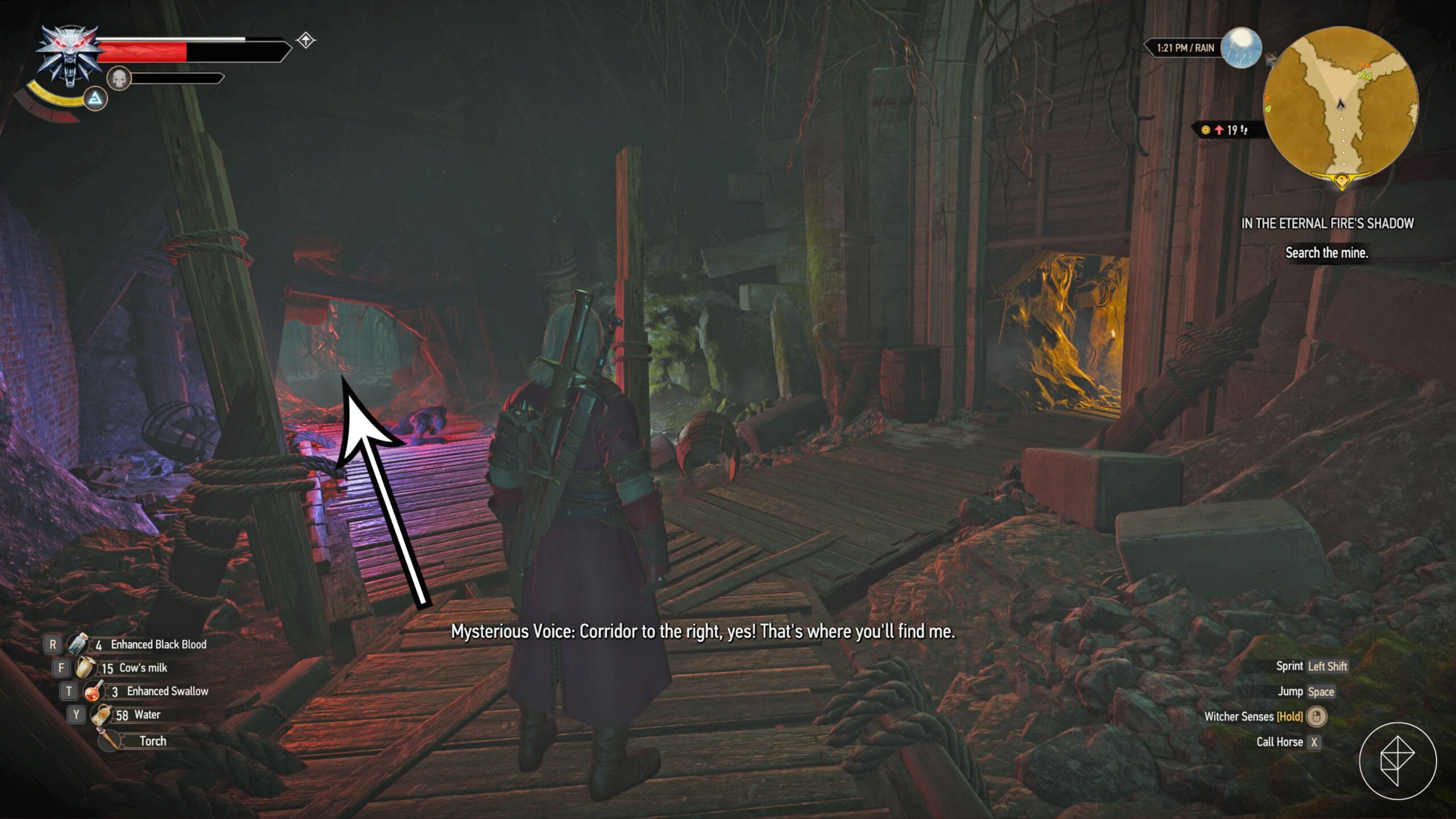 The best pathway in the 'In the Eternal Flame's Shadow' quest in The Witcher 3: Wild Hunt.